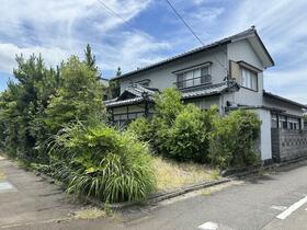 新潟県新潟市西蒲区鱸