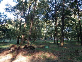 群馬県みどり市大間々町上神梅