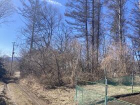 山梨県北杜市大泉町西井出