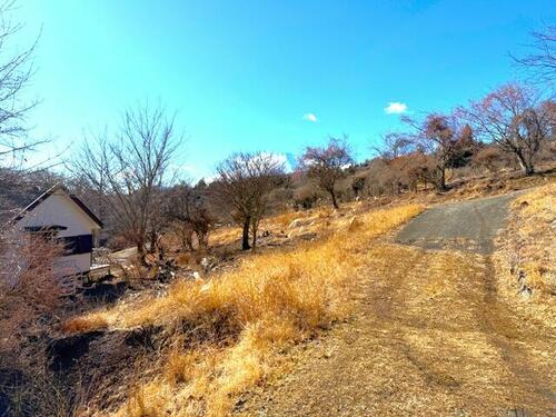 Land, Yamanakako Village, Yamanashi