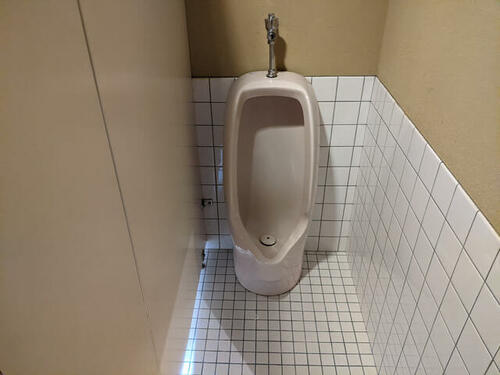 Image 60