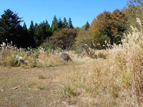 山梨県南都留郡忍野村内野