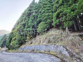 京都府京都市右京区京北細野町里山