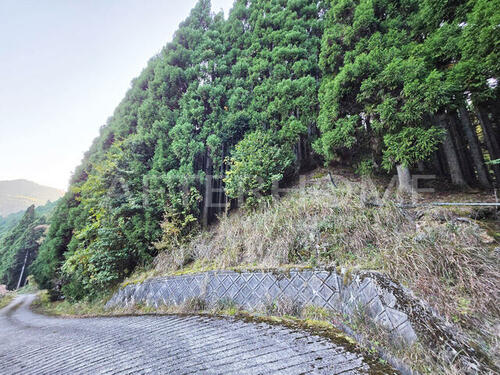 Land, 京都府 京都市