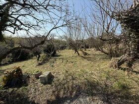 長崎県諫早市猿崎町