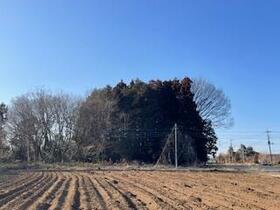 茨城県水戸市下野町