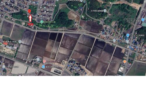 Land, Tone Town, Ibaraki