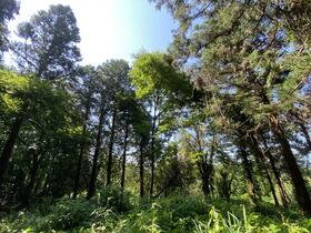 福岡県糸島市二丈波呂