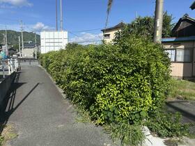 愛知県蒲郡市水竹町花掛