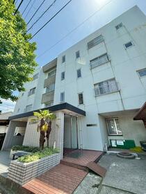 新潟県新潟市中央区関屋昭和町1丁目