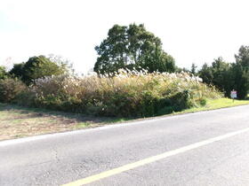 三重県津市安濃町草生