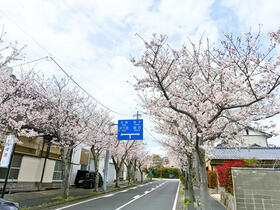 佐賀県唐津市菜畑