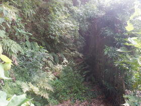 千葉県館山市小原