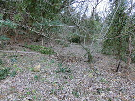 熊本県荒尾市万田