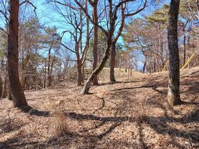 山梨県南都留郡山中湖村平野