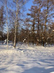 北海道虻田郡倶知安町字巽