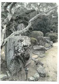 福岡県直方市大字上新入