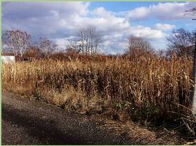 北海道札幌市東区雁来町