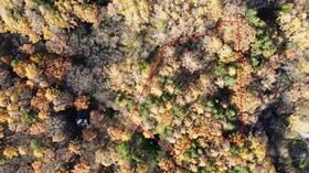 山梨県北杜市大泉町谷戸