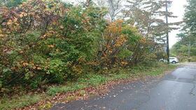 長野県飯山市大字飯山八坊塚