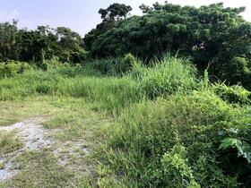 沖縄県うるま市字西原