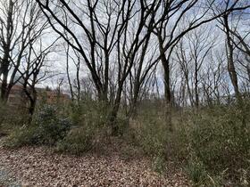 栃木県那須郡那須町大字豊原丙