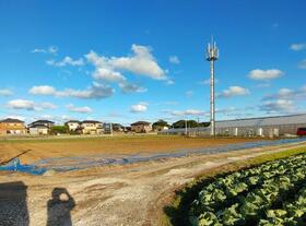 千葉県銚子市小畑新町