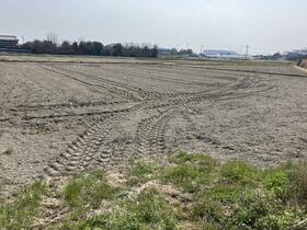 愛知県弥富市鍋田町稲山