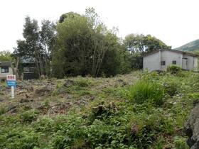 静岡県伊東市八幡野