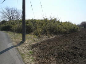 茨城県水戸市河和田町