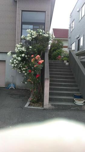 detached 北海道北広島市大曲緑ヶ丘４丁目