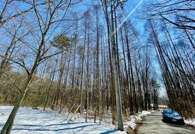 山梨県北杜市大泉町谷戸