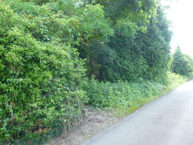 茨城県那珂市後台