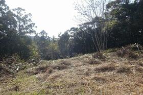 静岡県賀茂郡南伊豆町伊浜