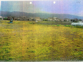 徳島県吉野川市鴨島町知恵島