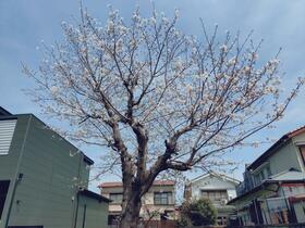 大分県佐伯市城南町