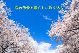 神奈川県厚木市戸室３丁目
