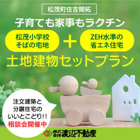 徳島県板野郡松茂町住吉字住吉開拓