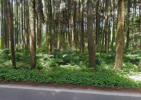 千葉県山武市木原