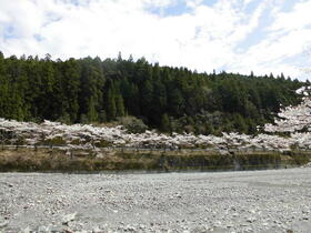 静岡県浜松市天竜区春野町豊岡