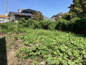 山形県鶴岡市三光町