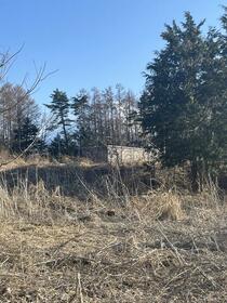 山梨県南都留郡富士河口湖町船津