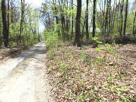 山梨県北杜市長坂町中丸