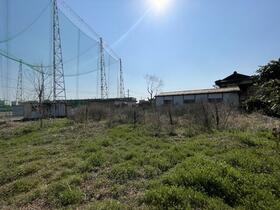 福岡県大牟田市大字草木