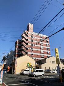 ロマネスク坪井