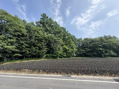 Land, Naganohara Town, Gunma