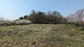 福島県郡山市西田町鬼生田字山口