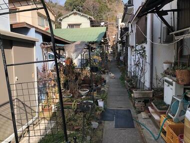 代表画像_外観@234042463648