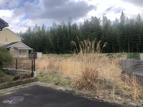 福島県双葉郡浪江町大字権現堂字順礼川原