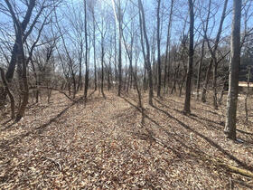 山梨県北杜市大泉町西井出